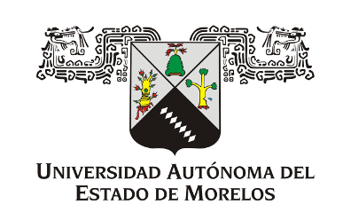 UAEM Logo